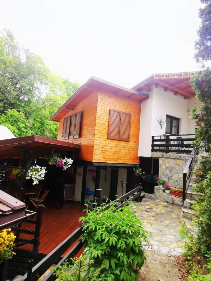 Casa Flandria Hotel Sinaia Exterior photo
