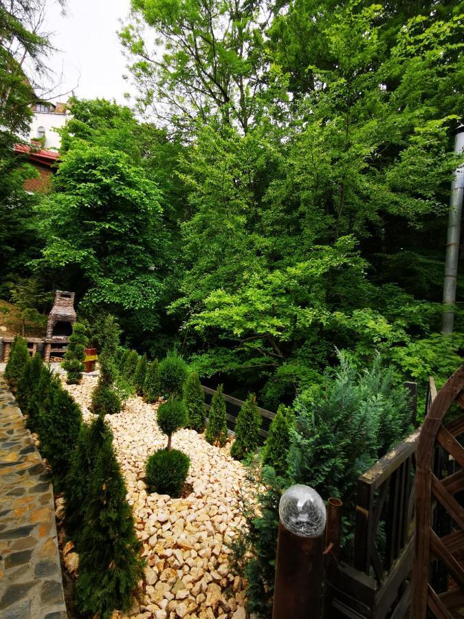 Casa Flandria Hotel Sinaia Exterior photo